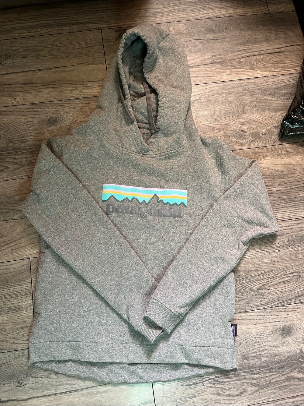 Patagonia Gray Crewneck Hoodie with Multicolor Logo